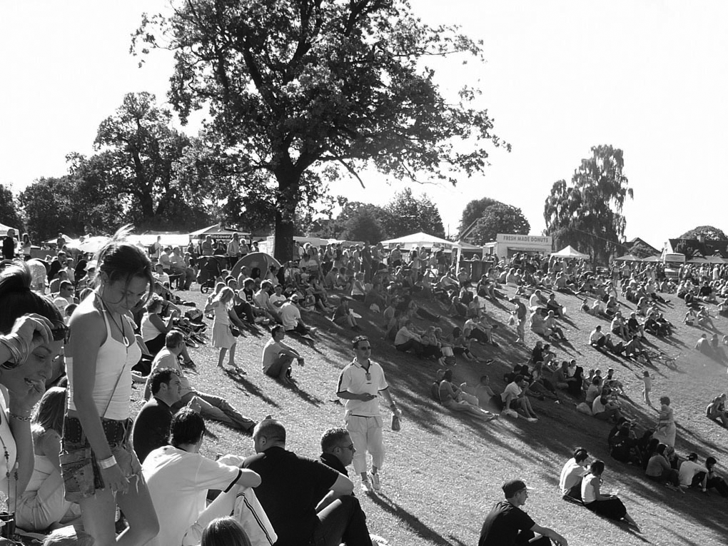 Carshalton Park Gig