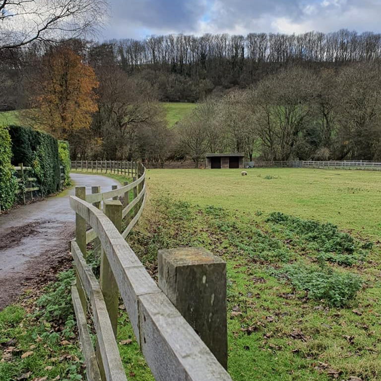 Woldingham walk