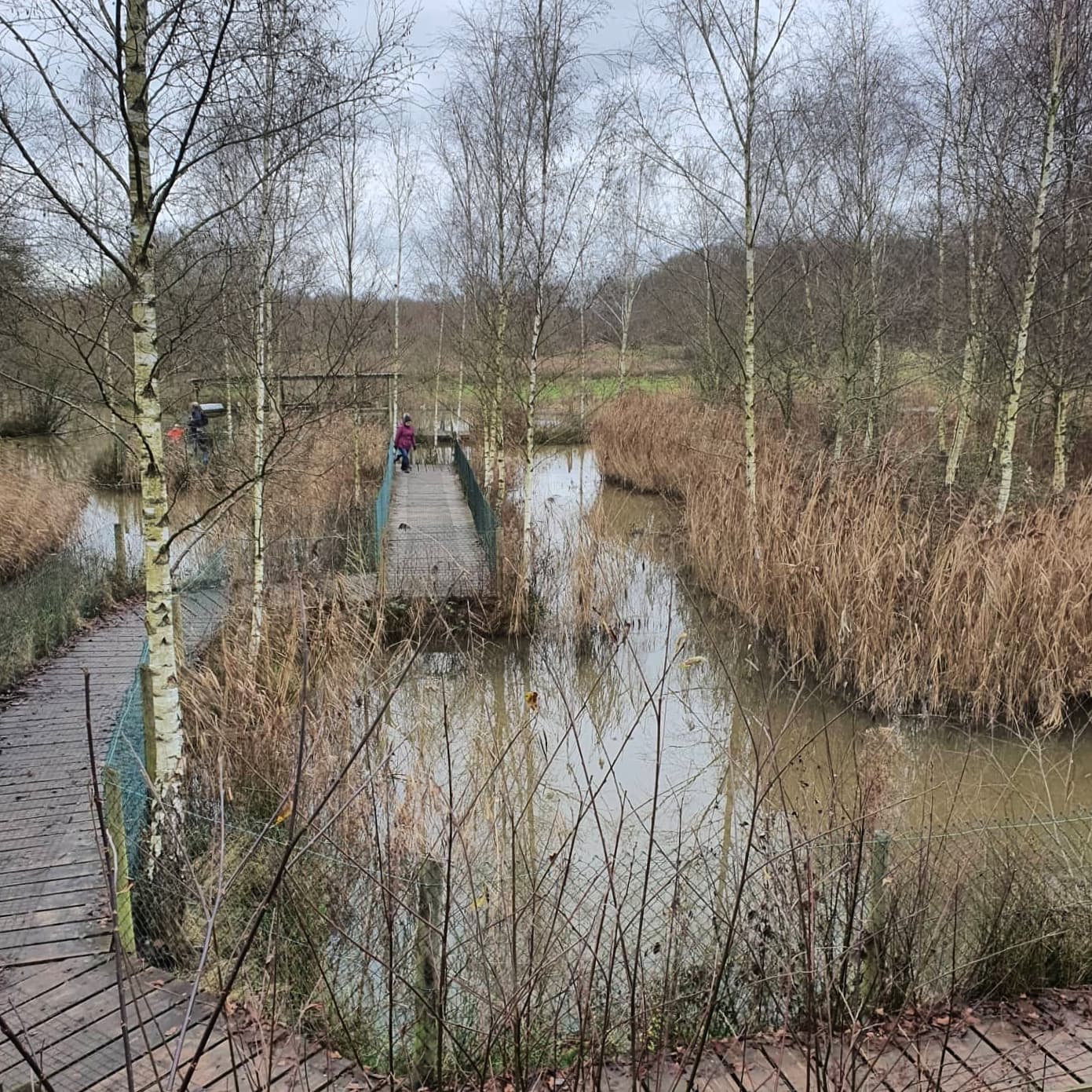 British Wildlife Centre walkway