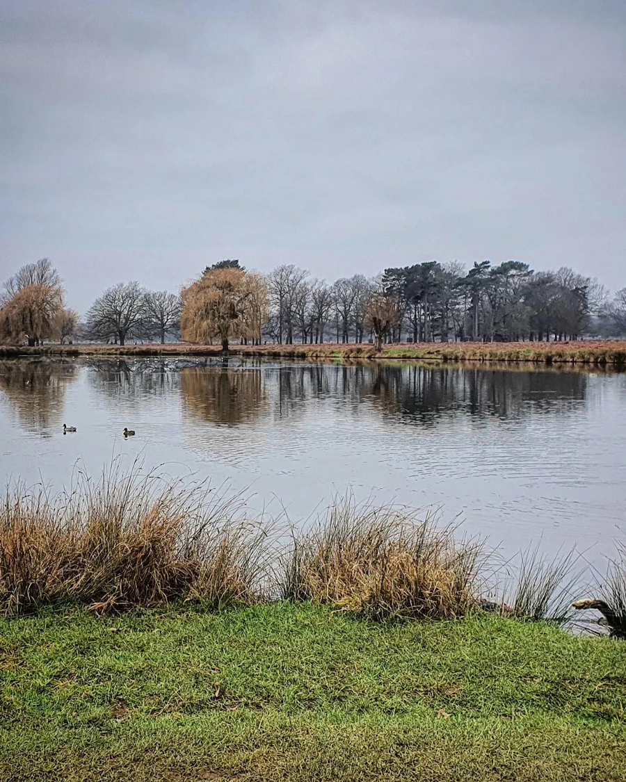 Bushey Park