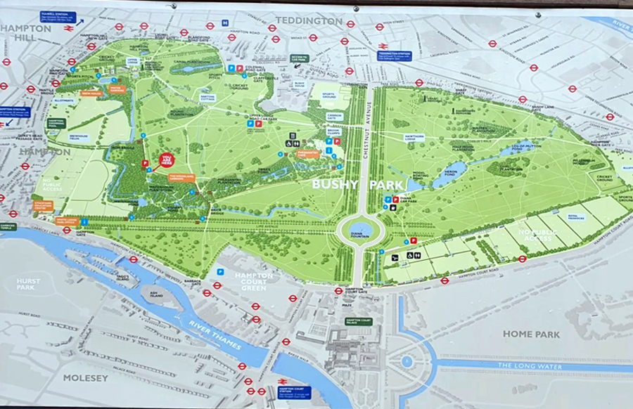 Bushey Park Map
