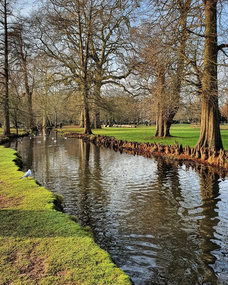 Bushey Park