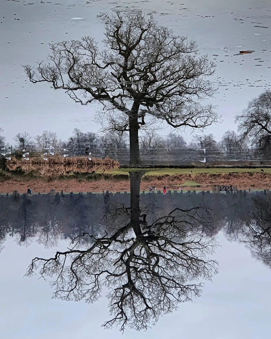 Bushey Park