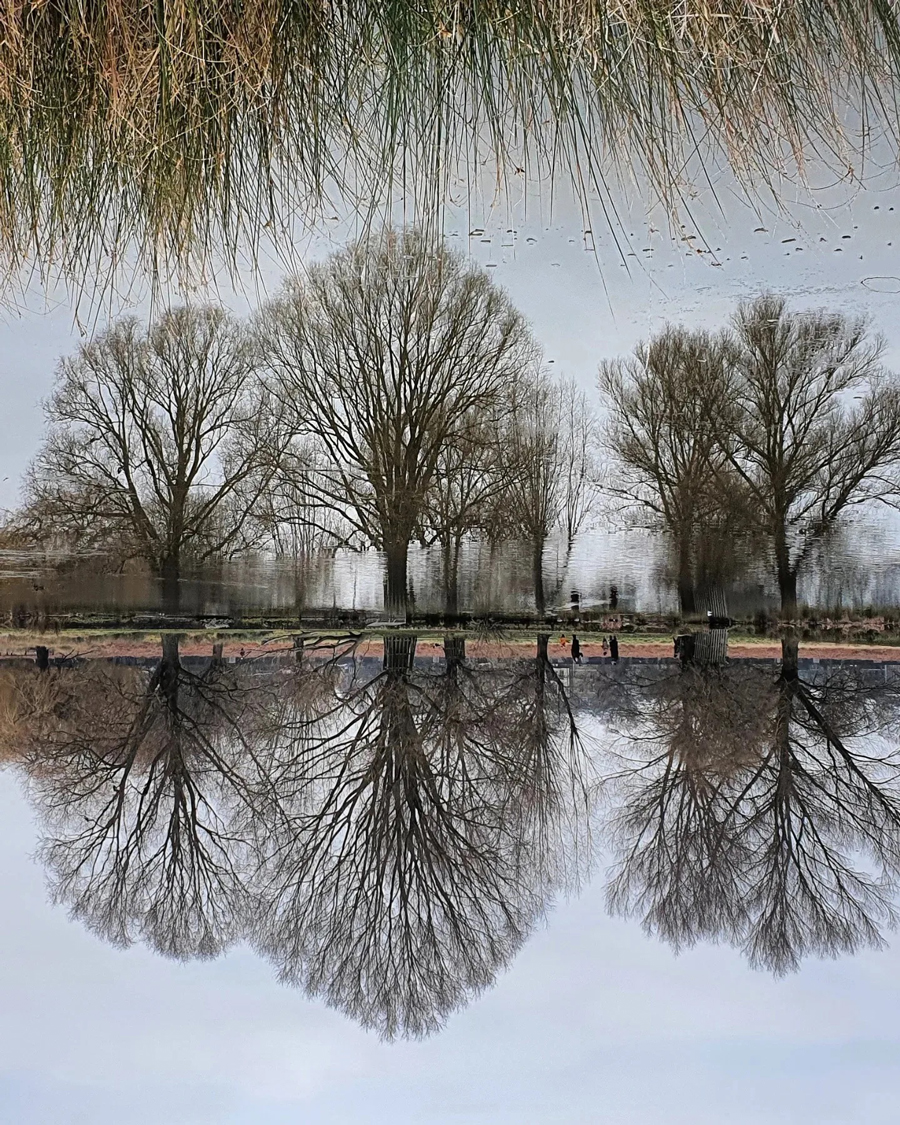 Bushey Park