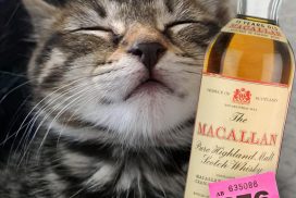 Wallington Animal Rescue Cat Tombola