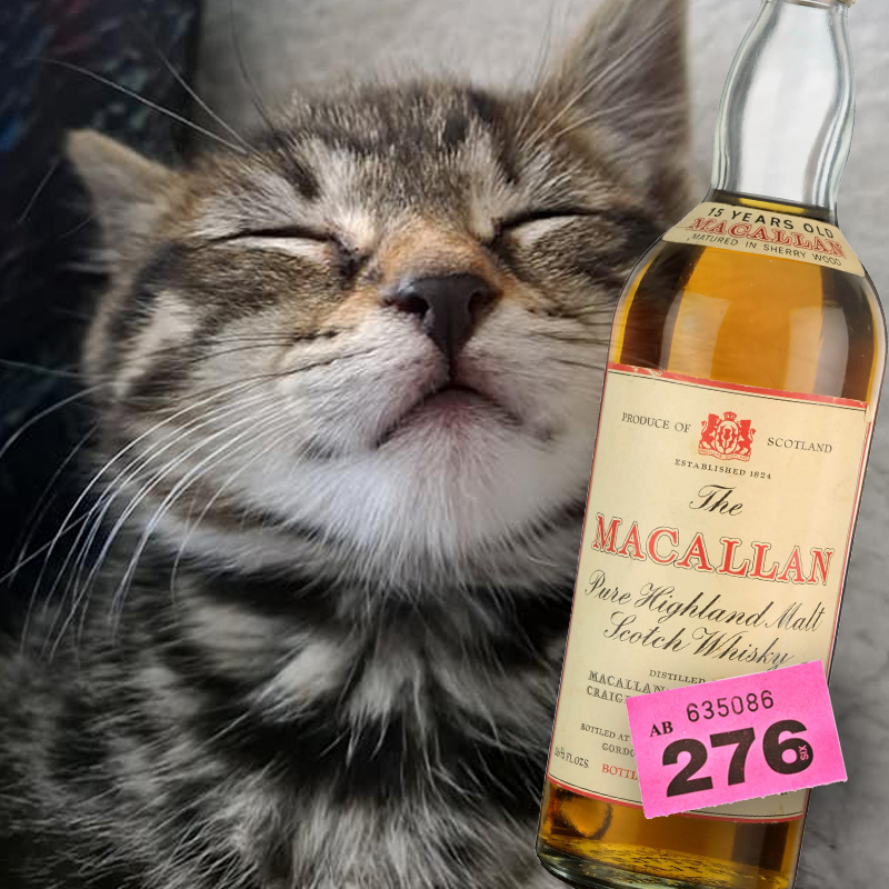 Wallington Animal Rescue Cat Tombola