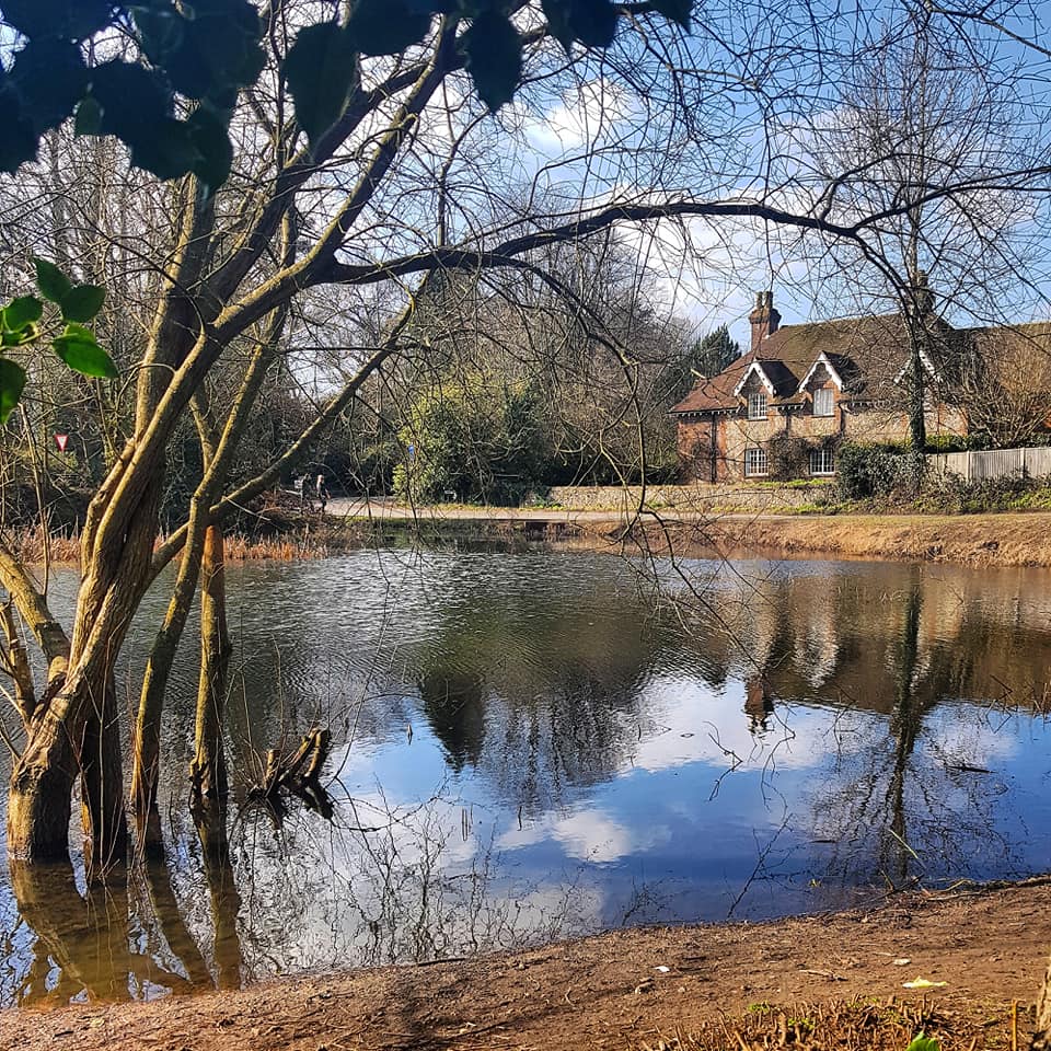 Chipstead village pond