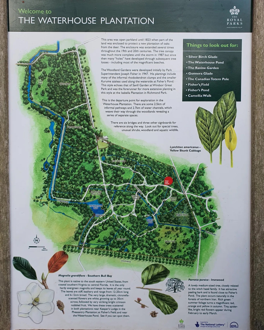 Bushey Park Plantation Map