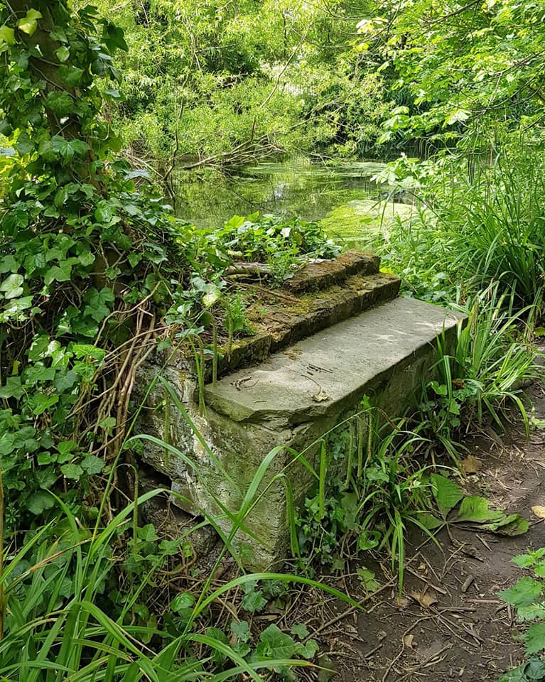 wilderness island lost bridge