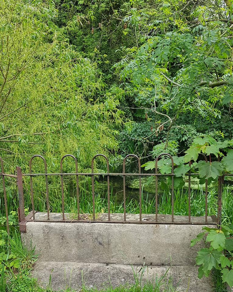 wilderness island lost bridge