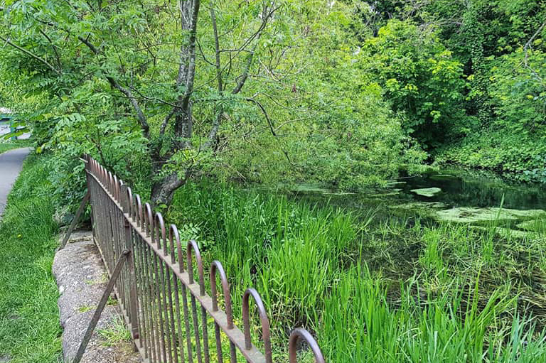 wilderness island lost bridge