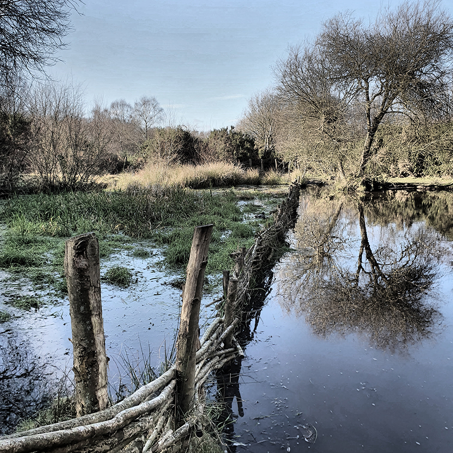 Headley Heath Pond