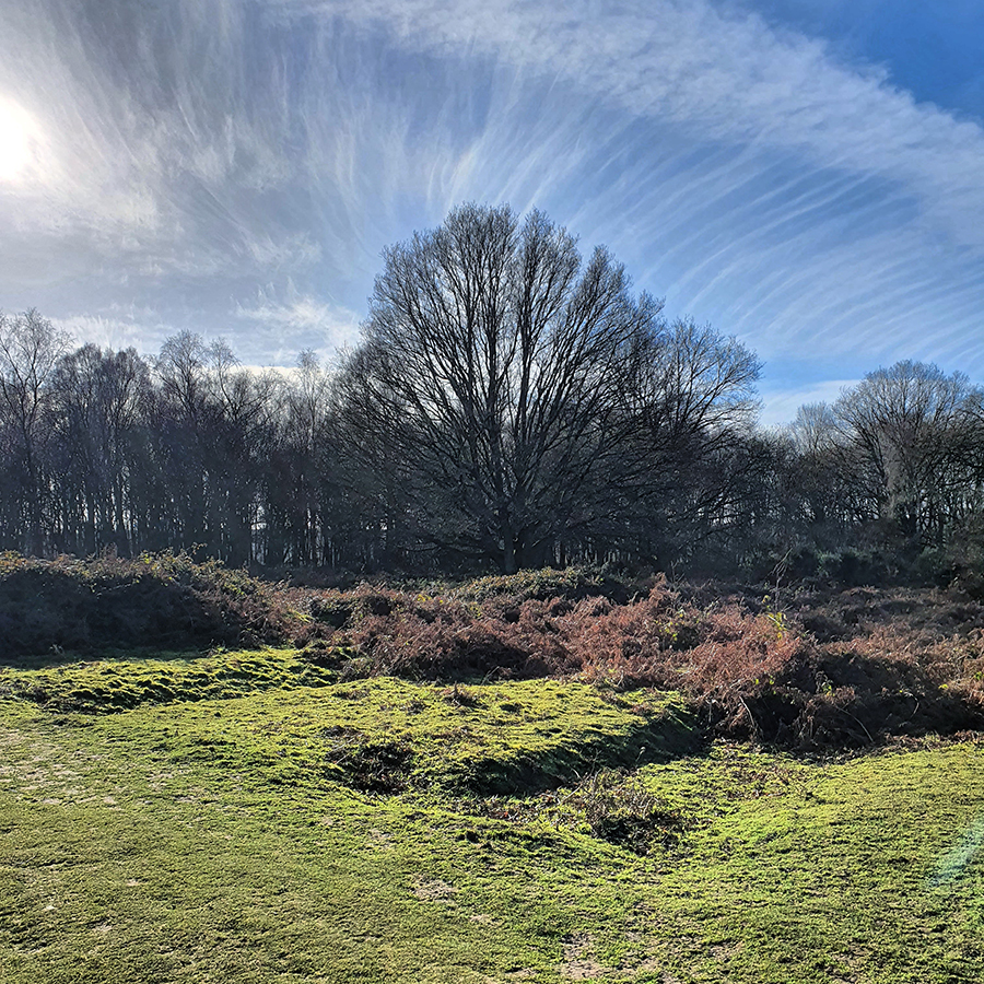 Headley Heath Trench