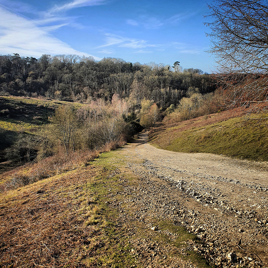 Headley Heath
