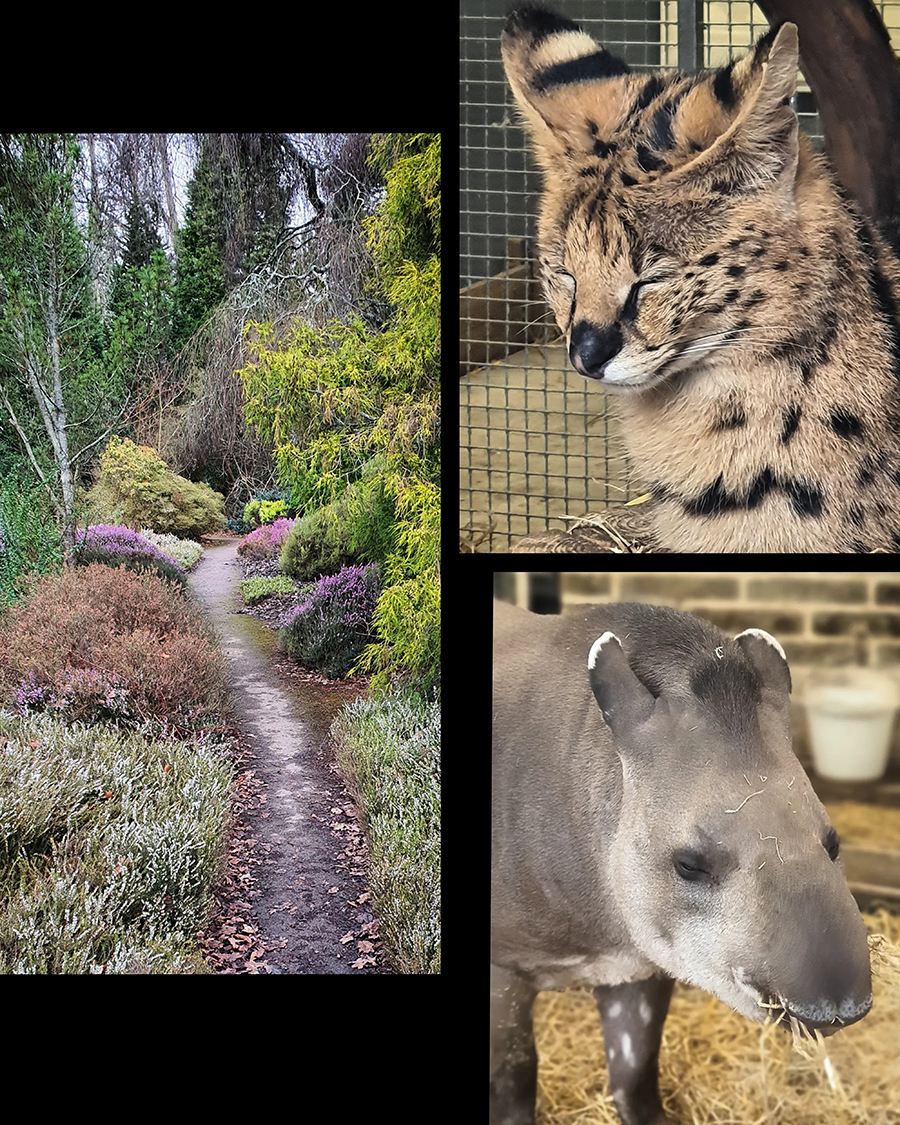 Tilgate Nature Centre Zoo