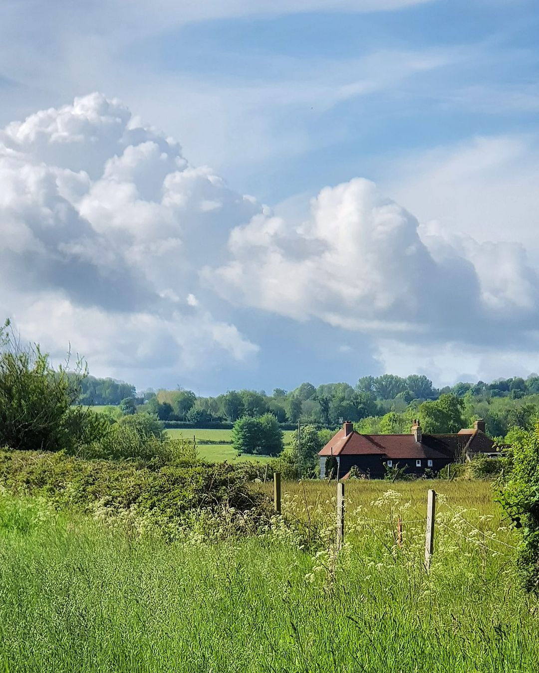 Iron Age Settlement