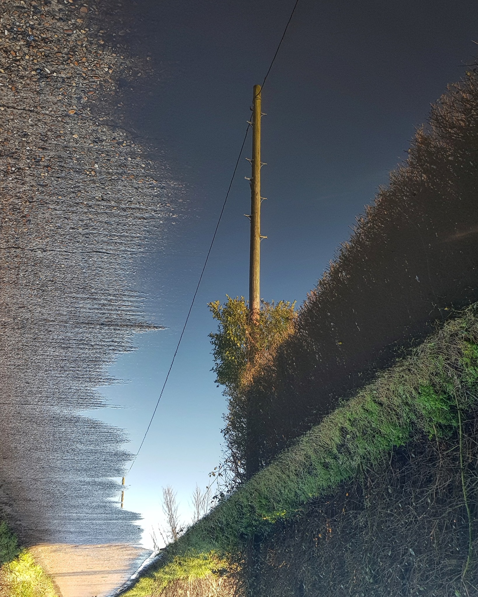 Telegraph Pole