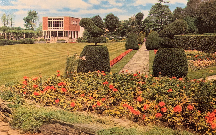 Beddington Park 1967