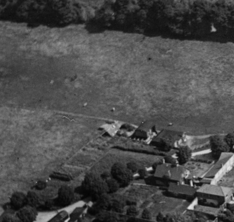 aerial the grove