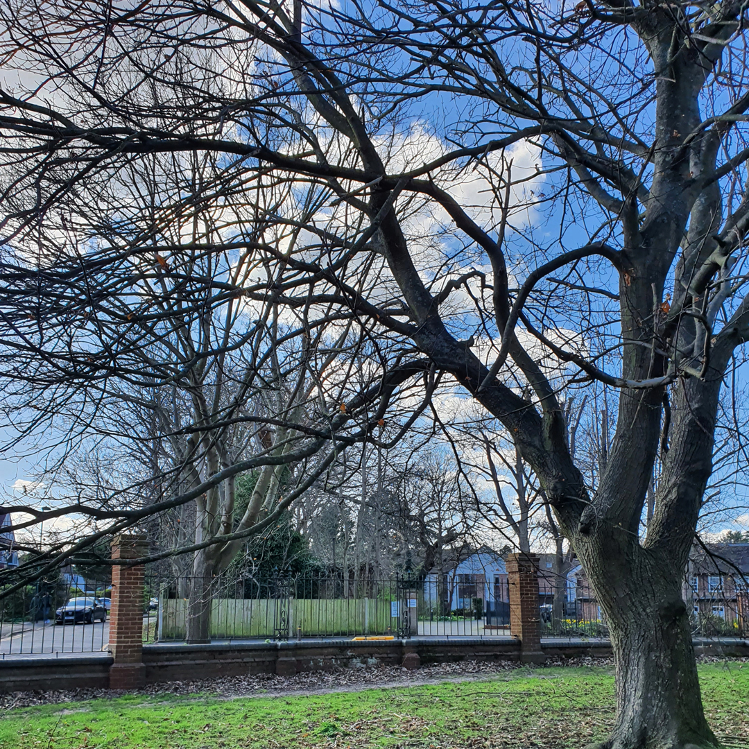Corner of Carshalton Park