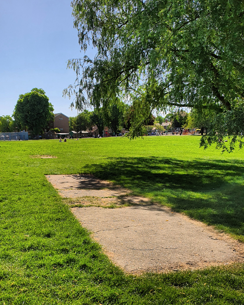 Cricket nets