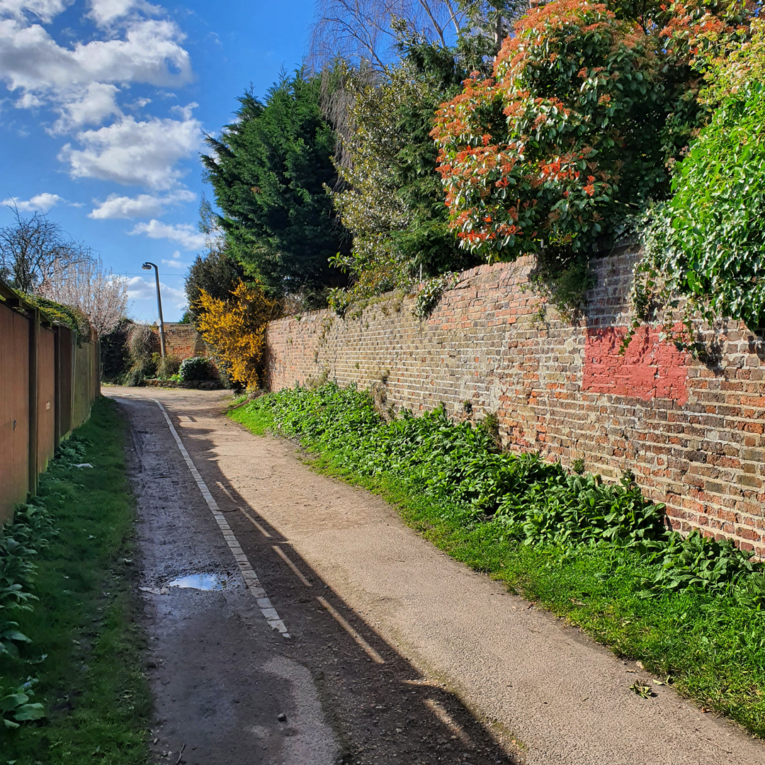 The Mount Wall