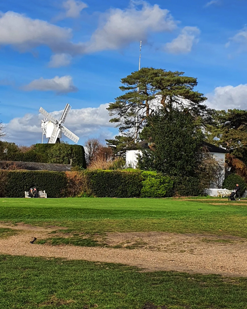 Wimbledon Common