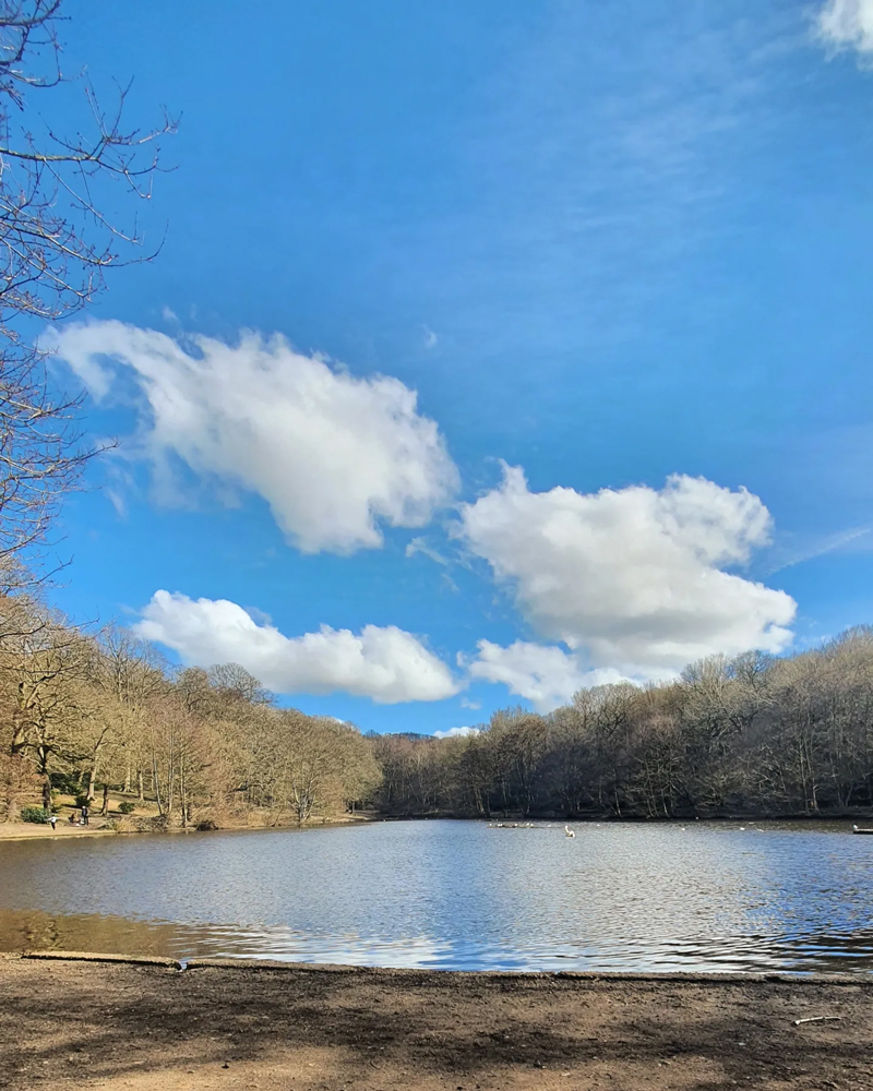 Wimbledon Common Pond