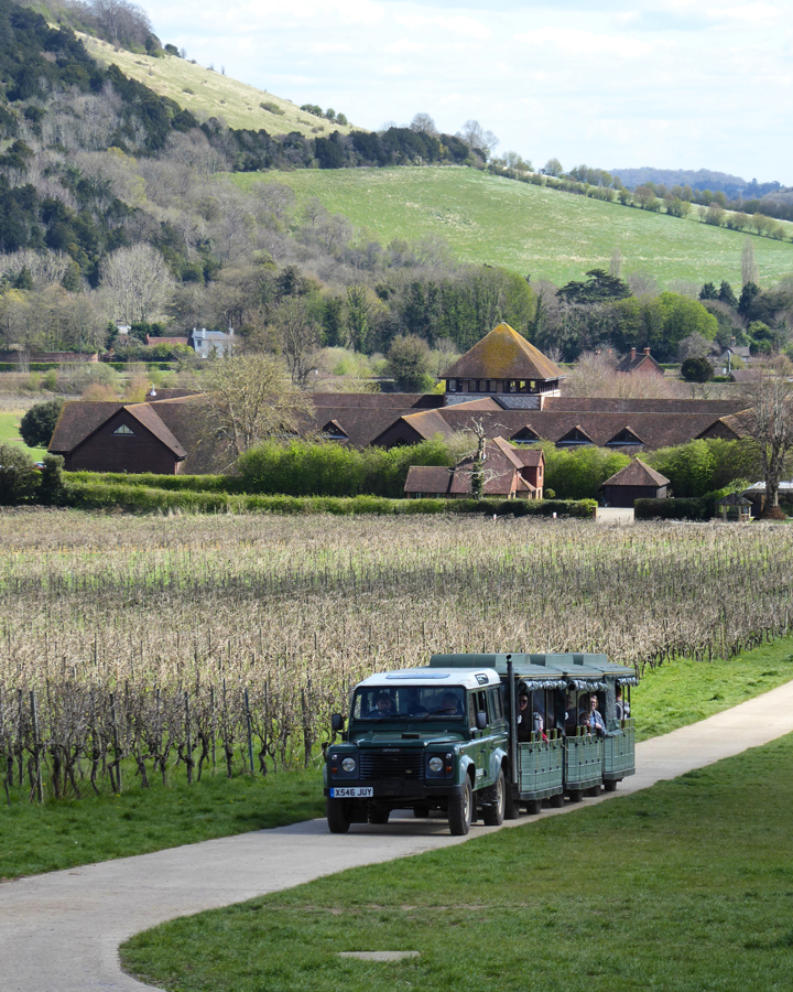 Denbies land train