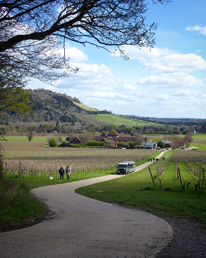 Denbies