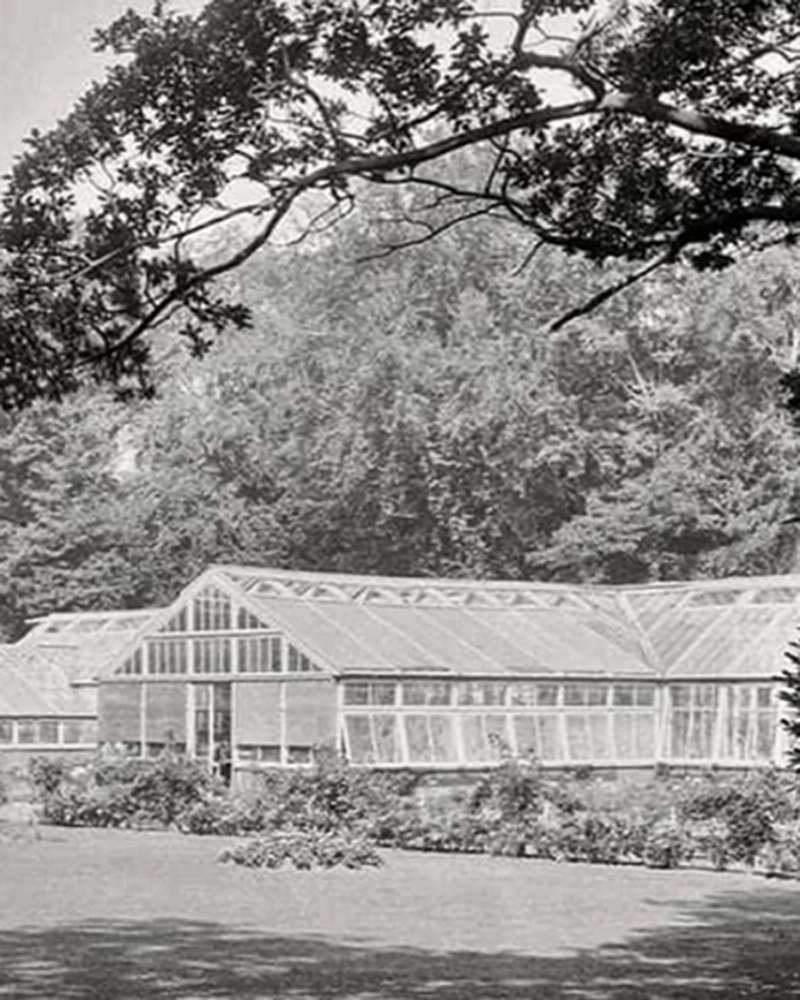 Greenhouse Grotto