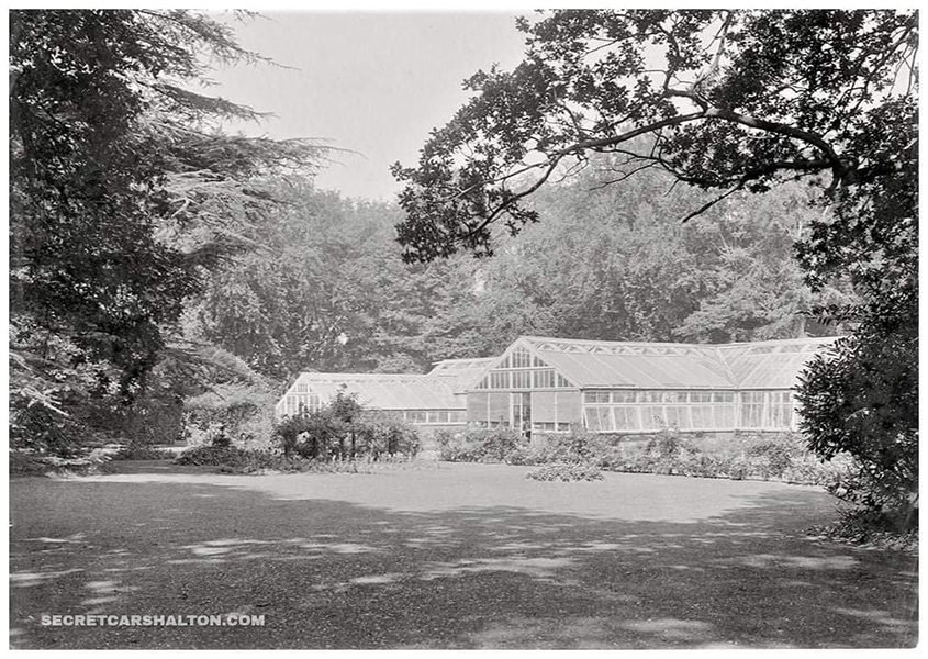 Oaks Park Grotto
