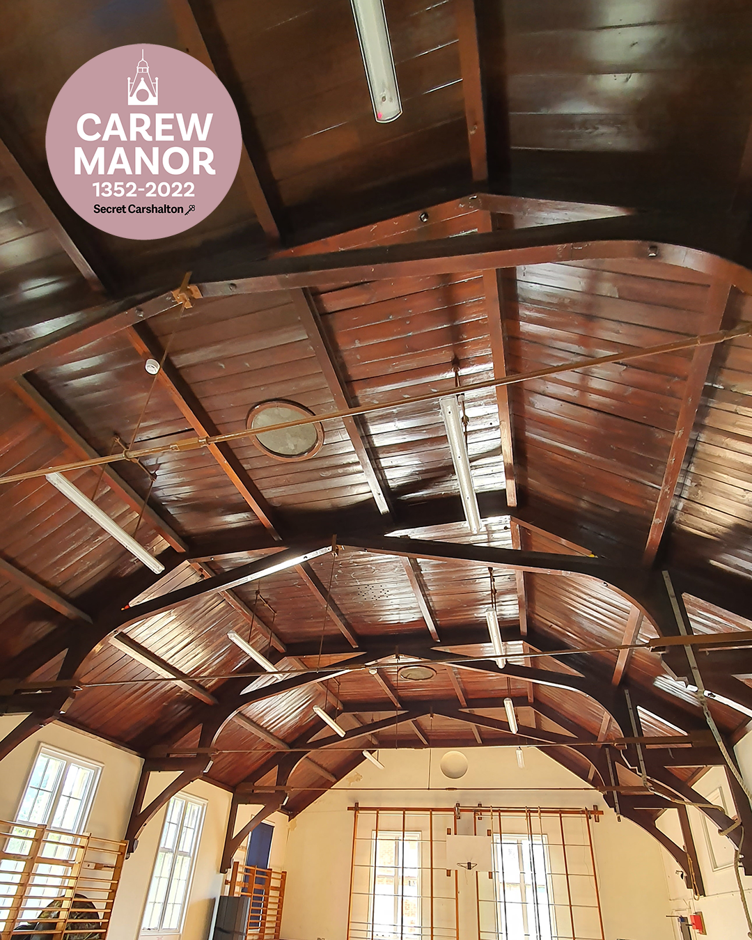 Carew Manor Gym Roof