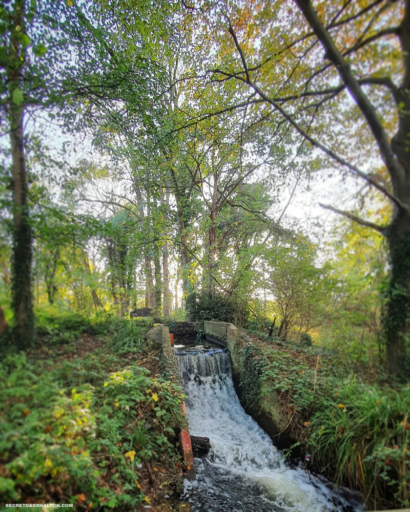 Wandle Trail Watermeads
