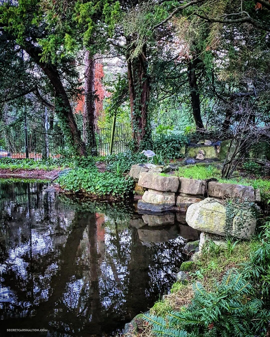 Coombe Wood Croydon Pond
