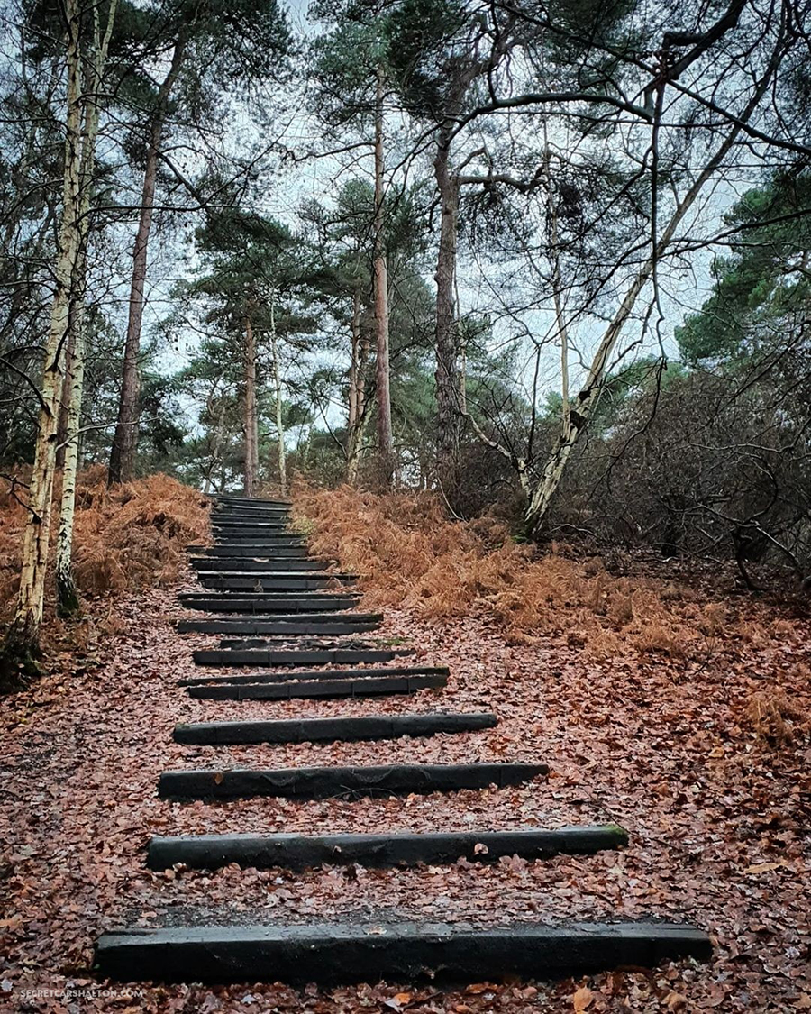 Coombe Wood Croydon Path