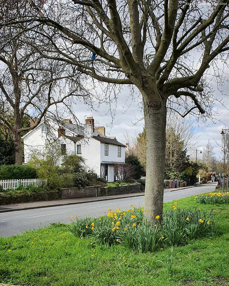 Wallington Hamlet