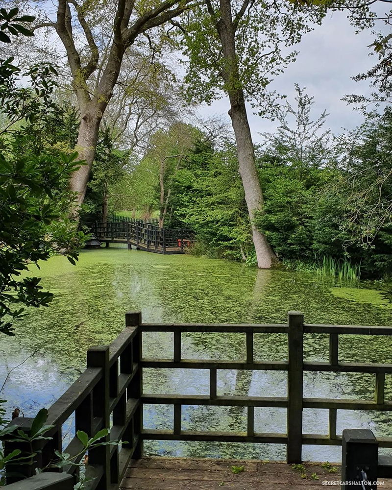Lingfield garth pond