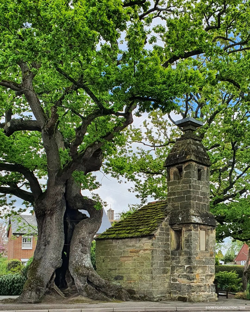 Lingfield Jail House Cage