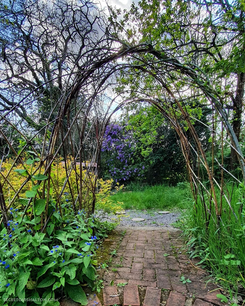 Willow tunnel