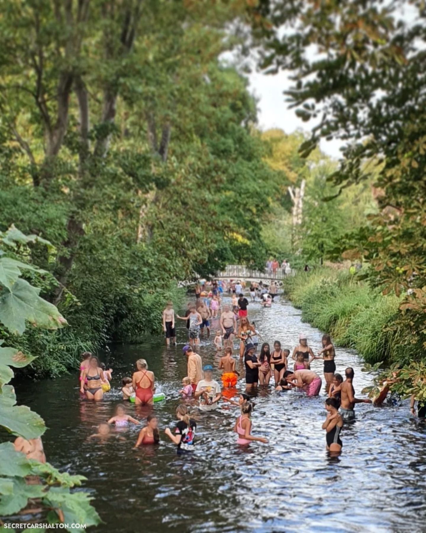 wandle morden