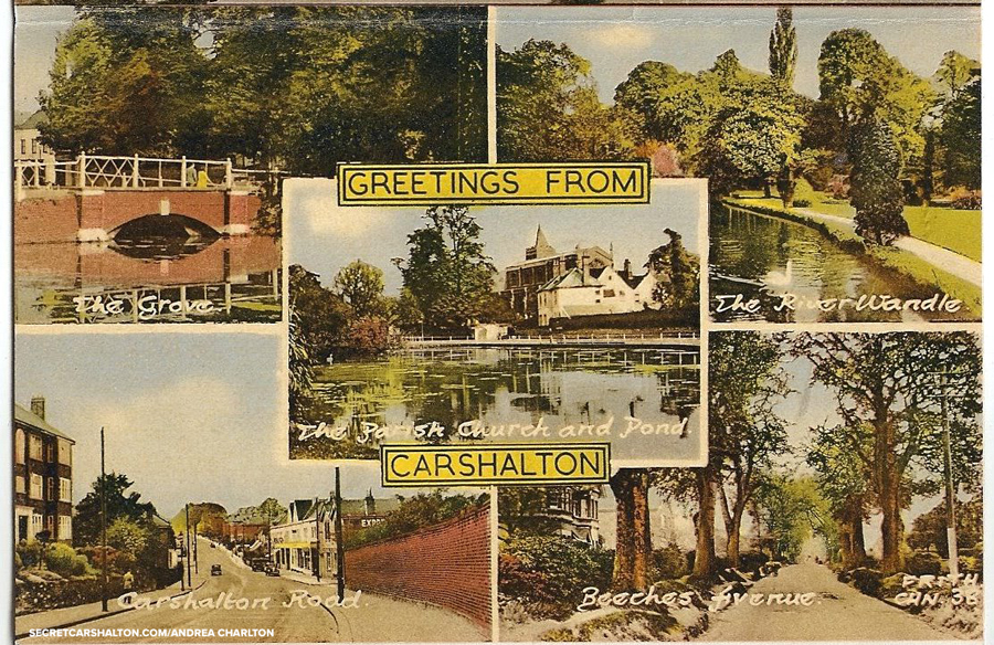 Postcard