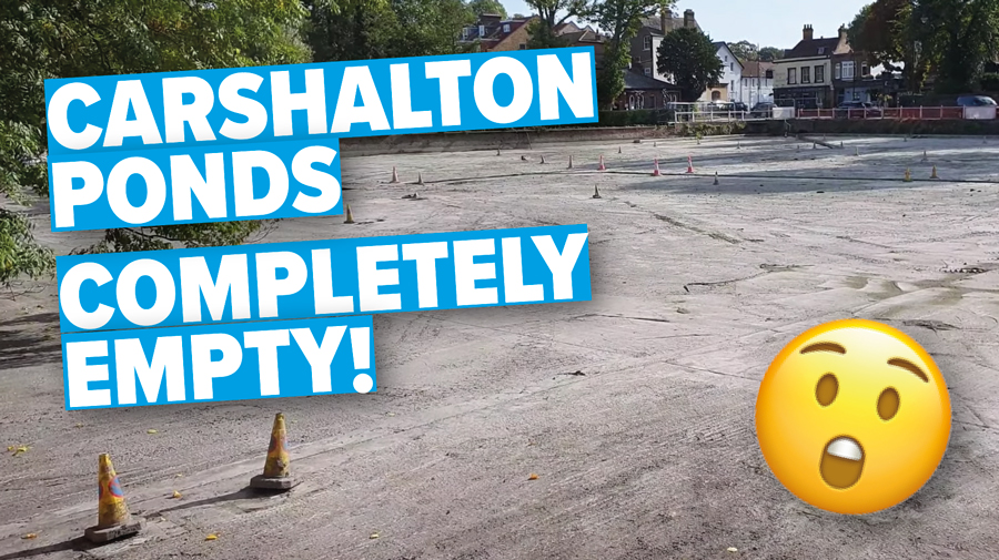 Carshalton Ponds