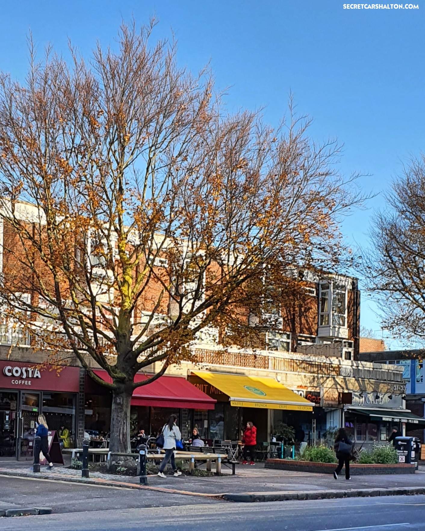 Street tree