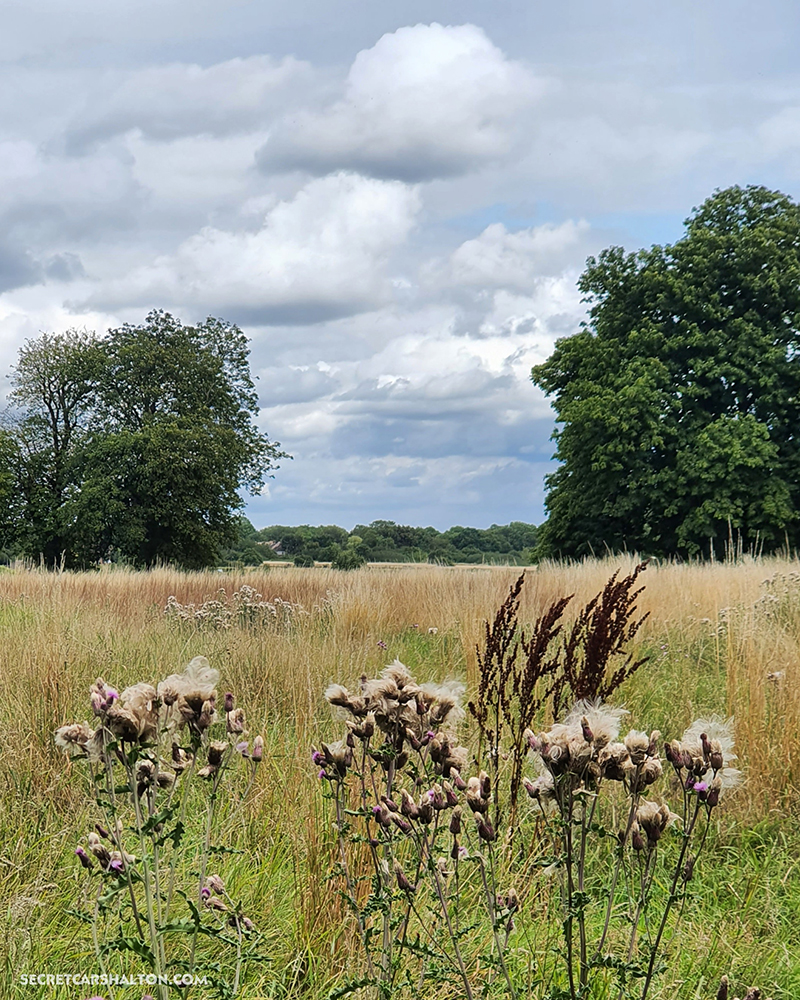 Scratchwood banstead