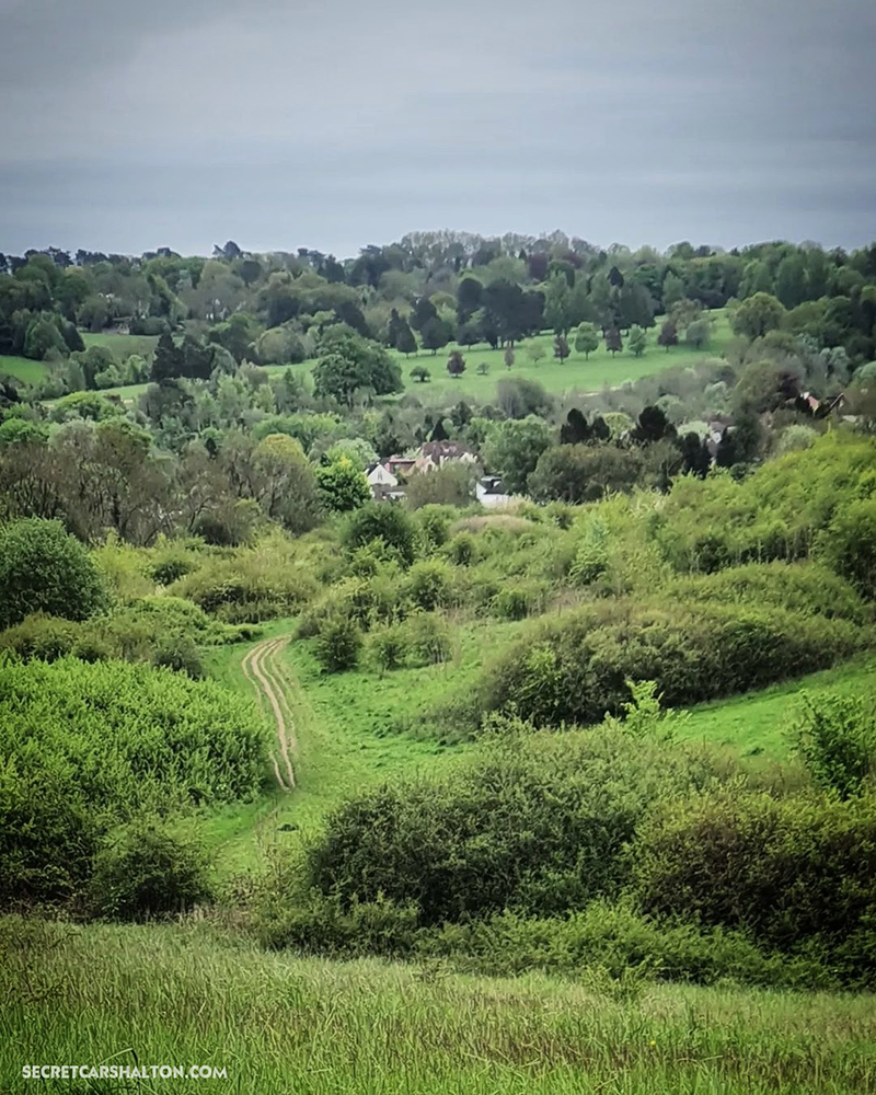 Scratchwood banstead