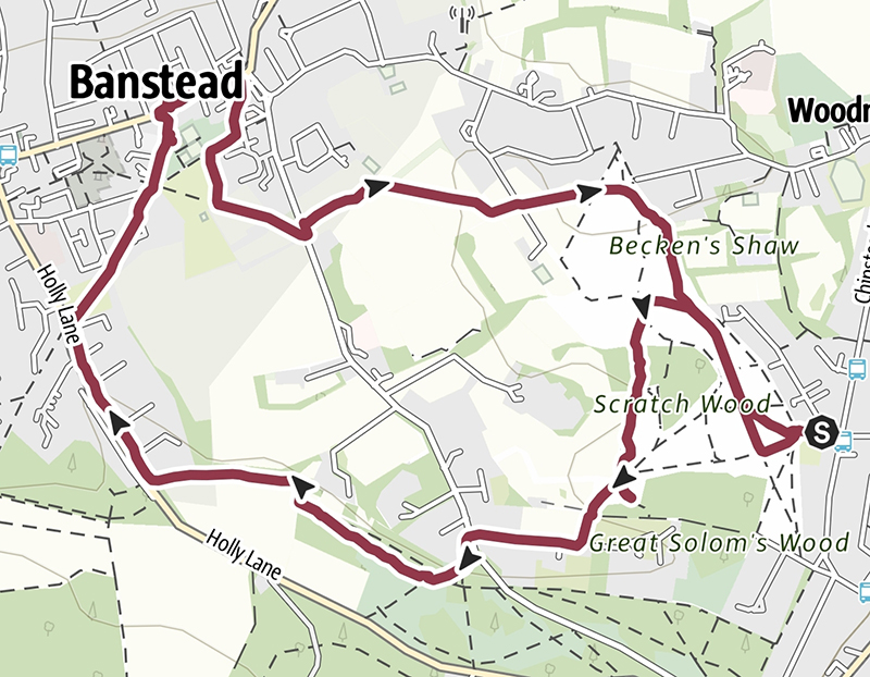 Scratchwood banstead