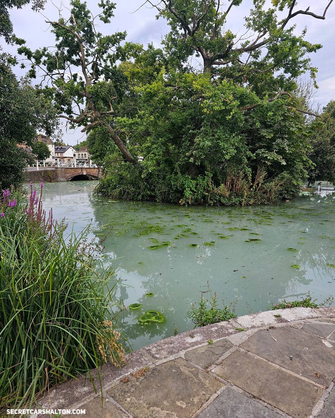 River Wandle cloudy