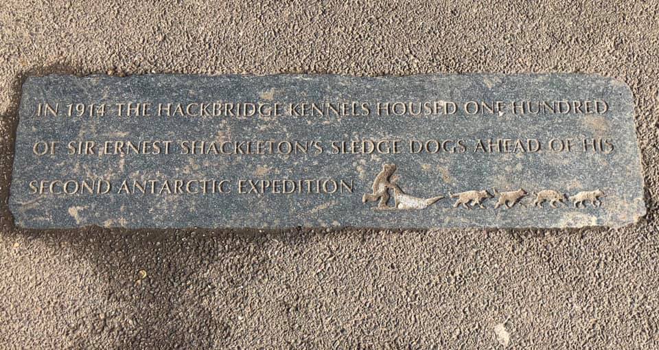 plaque