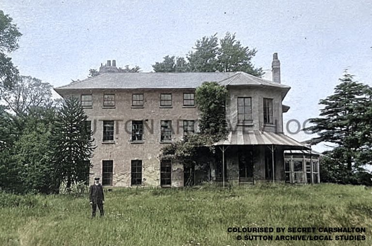 Butter Hill